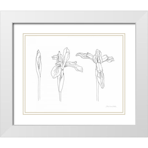 Sketched Iris White Modern Wood Framed Art Print with Double Matting by Miller, Sara Zieve