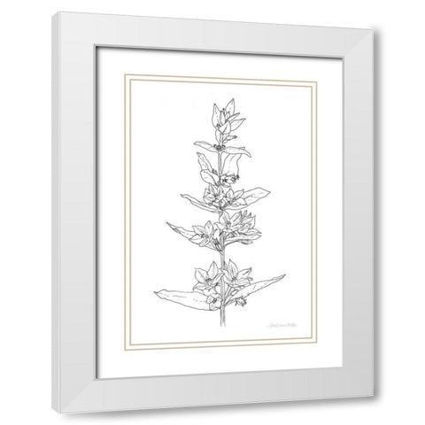 Sketched Flowers White Modern Wood Framed Art Print with Double Matting by Miller, Sara Zieve