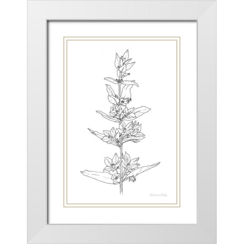 Sketched Flowers White Modern Wood Framed Art Print with Double Matting by Miller, Sara Zieve