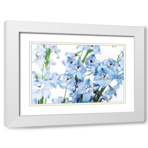 Freshly Picked Delphinium I White Modern Wood Framed Art Print with Double Matting by Urquhart, Elizabeth
