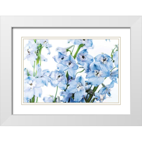 Freshly Picked Delphinium I White Modern Wood Framed Art Print with Double Matting by Urquhart, Elizabeth