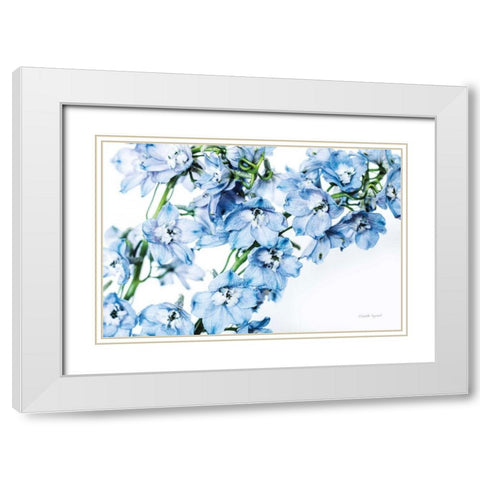 Freshly Picked Delphinium II White Modern Wood Framed Art Print with Double Matting by Urquhart, Elizabeth