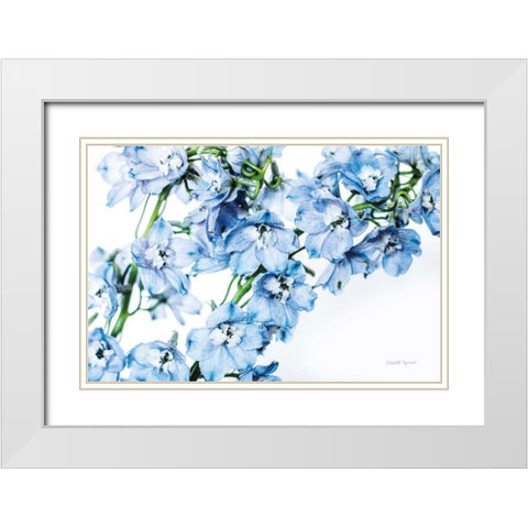 Freshly Picked Delphinium II White Modern Wood Framed Art Print with Double Matting by Urquhart, Elizabeth