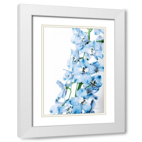 Freshly Picked Delphinium III White Modern Wood Framed Art Print with Double Matting by Urquhart, Elizabeth