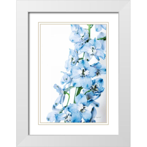 Freshly Picked Delphinium III White Modern Wood Framed Art Print with Double Matting by Urquhart, Elizabeth