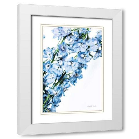 Freshly Picked Delphinium IV White Modern Wood Framed Art Print with Double Matting by Urquhart, Elizabeth