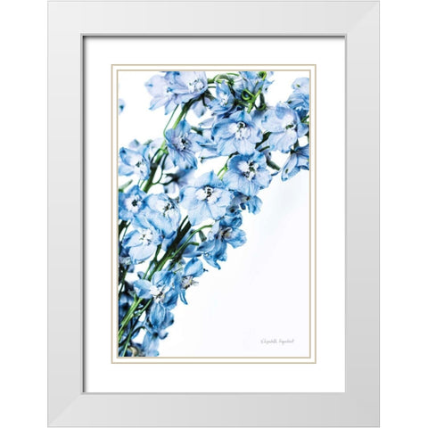 Freshly Picked Delphinium IV White Modern Wood Framed Art Print with Double Matting by Urquhart, Elizabeth