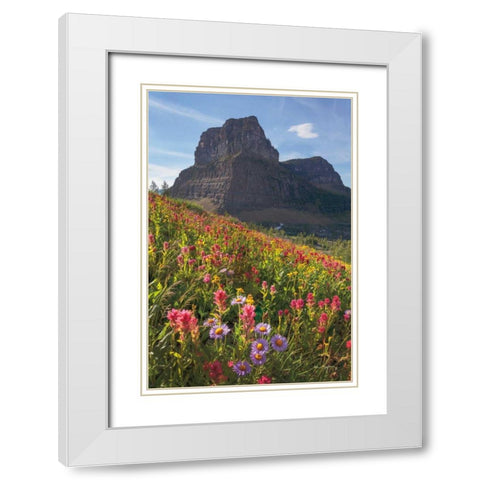 Boulder Pass Wildflowers White Modern Wood Framed Art Print with Double Matting by Majchrowicz, Alan