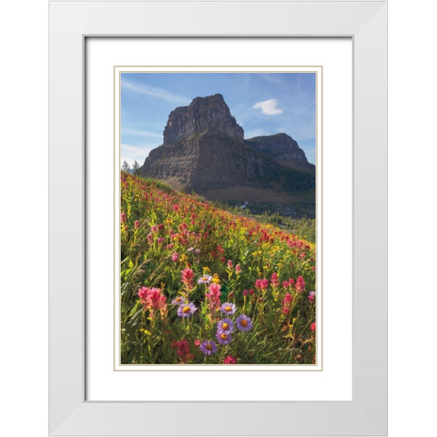 Boulder Pass Wildflowers White Modern Wood Framed Art Print with Double Matting by Majchrowicz, Alan