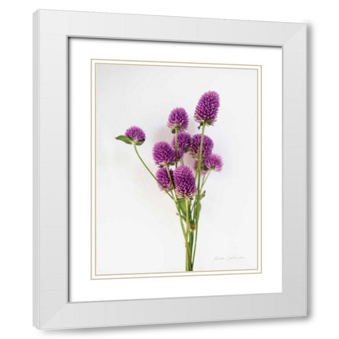 Dried Bouquet II White Modern Wood Framed Art Print with Double Matting by Catterall, Elise