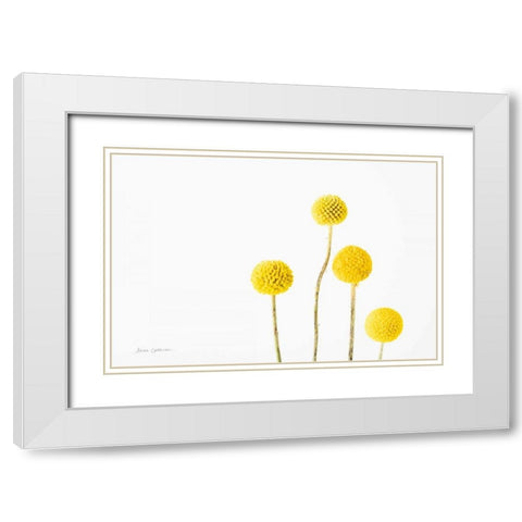 Craspedia I White Modern Wood Framed Art Print with Double Matting by Catterall, Elise