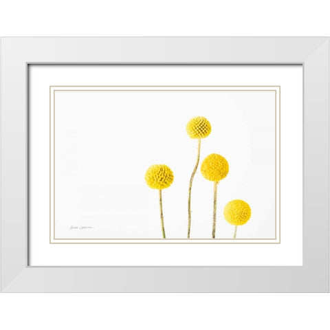 Craspedia I White Modern Wood Framed Art Print with Double Matting by Catterall, Elise