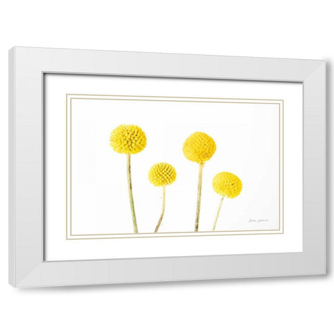 Craspedia II White Modern Wood Framed Art Print with Double Matting by Catterall, Elise