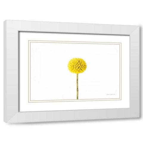 Craspedia III White Modern Wood Framed Art Print with Double Matting by Catterall, Elise