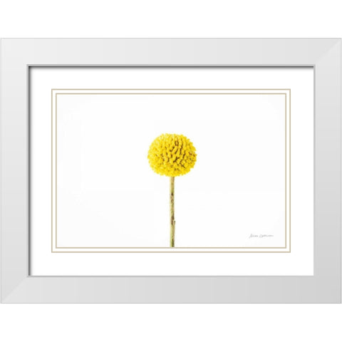 Craspedia III White Modern Wood Framed Art Print with Double Matting by Catterall, Elise