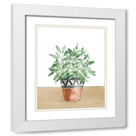 Herb Garden V White White Modern Wood Framed Art Print with Double Matting by Grove, Beth