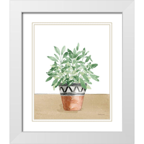Herb Garden V White White Modern Wood Framed Art Print with Double Matting by Grove, Beth