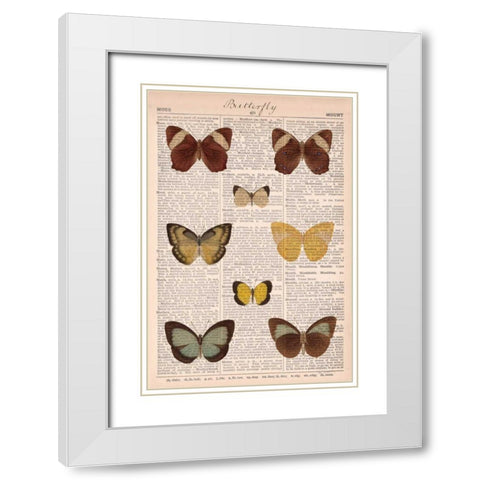 American Butterflies II White Modern Wood Framed Art Print with Double Matting by Schlabach, Sue