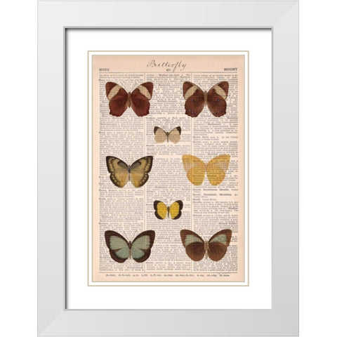 American Butterflies II White Modern Wood Framed Art Print with Double Matting by Schlabach, Sue