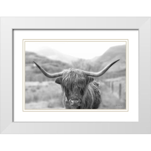 Scottish Highland Cattle III Neutral Crop White Modern Wood Framed Art Print with Double Matting by Majchrowicz, Alan