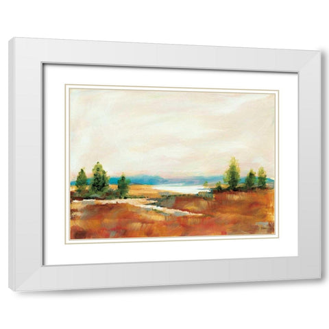 Amity Pond White Modern Wood Framed Art Print with Double Matting by Schlabach, Sue
