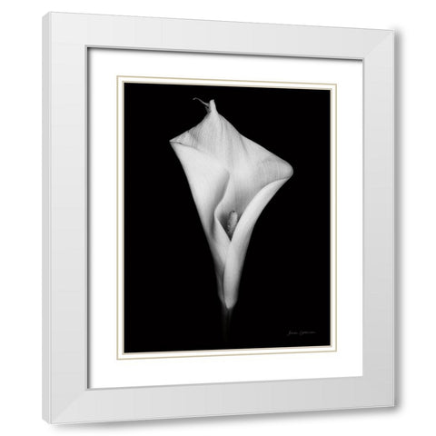 Elegant Calla I White Modern Wood Framed Art Print with Double Matting by Catterall, Elise