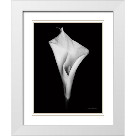 Elegant Calla I White Modern Wood Framed Art Print with Double Matting by Catterall, Elise