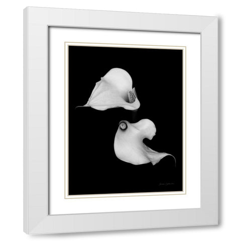 Elegant Calla II White Modern Wood Framed Art Print with Double Matting by Catterall, Elise