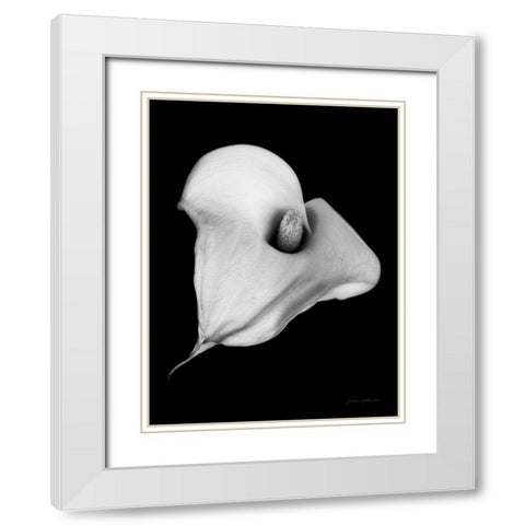 Elegant Calla III White Modern Wood Framed Art Print with Double Matting by Catterall, Elise