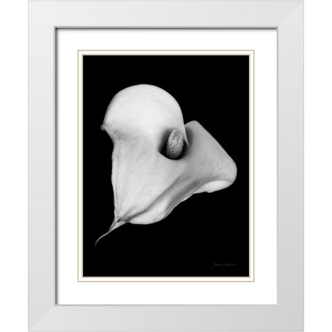 Elegant Calla III White Modern Wood Framed Art Print with Double Matting by Catterall, Elise