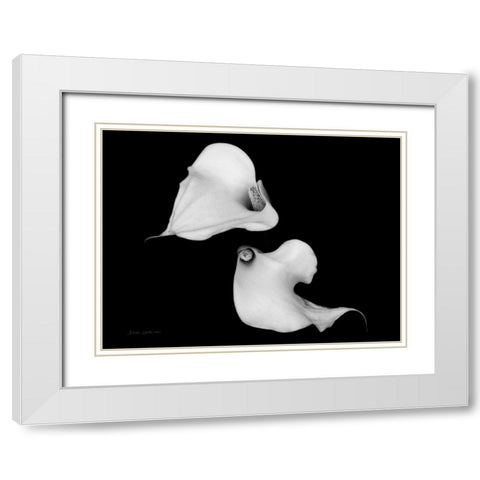 Elegant Calla IV White Modern Wood Framed Art Print with Double Matting by Catterall, Elise