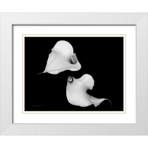 Elegant Calla IV White Modern Wood Framed Art Print with Double Matting by Catterall, Elise