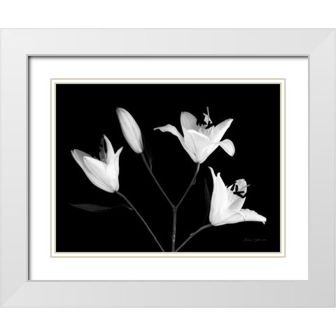 Spray of Lilies White Modern Wood Framed Art Print with Double Matting by Catterall, Elise