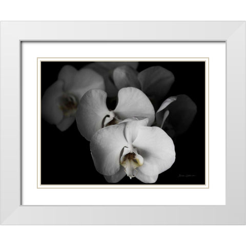 White Orchid I White Modern Wood Framed Art Print with Double Matting by Catterall, Elise