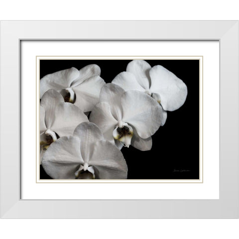 White Orchid II White Modern Wood Framed Art Print with Double Matting by Catterall, Elise