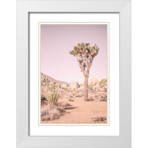 Joshua Tree III Blush White Modern Wood Framed Art Print with Double Matting by Urquhart, Elizabeth