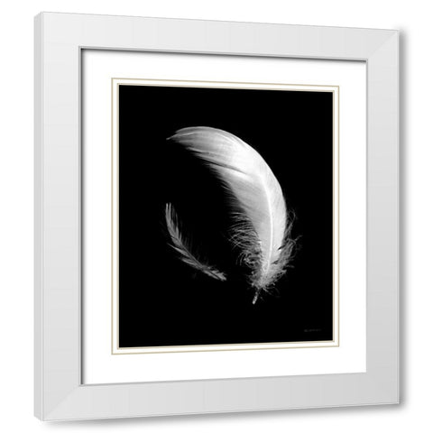 Dream Feathers White Modern Wood Framed Art Print with Double Matting by Goldstein, Ed