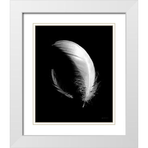 Dream Feathers White Modern Wood Framed Art Print with Double Matting by Goldstein, Ed