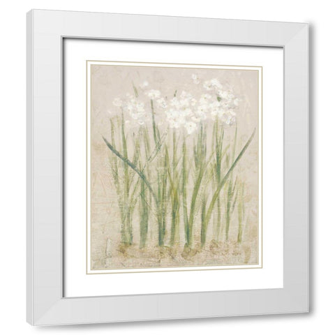 Narcissus Light White Modern Wood Framed Art Print with Double Matting by Blum, Cheri