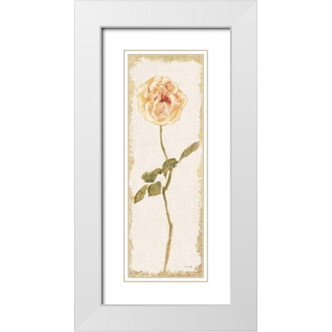 Pale Rose Panel Light White Modern Wood Framed Art Print with Double Matting by Blum, Cheri