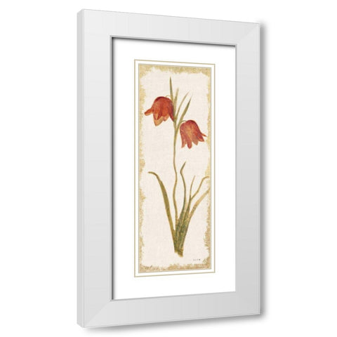 Red Tulip Panel Light White Modern Wood Framed Art Print with Double Matting by Blum, Cheri
