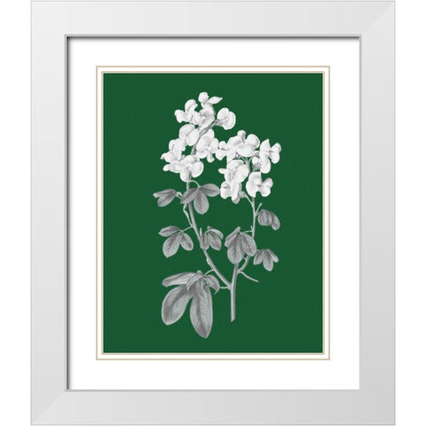 Green Botanical III White Modern Wood Framed Art Print with Double Matting by Wild Apple Portfolio