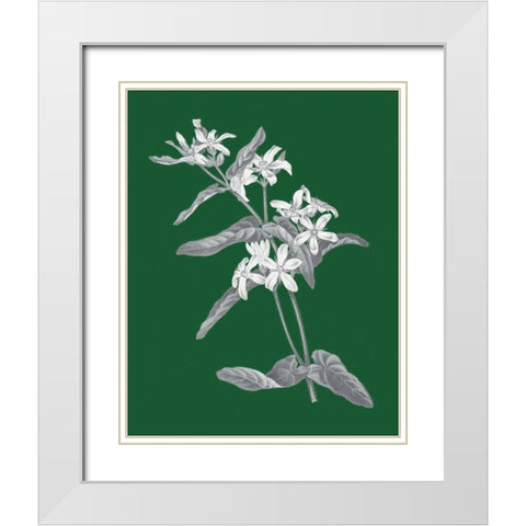 Green Botanical IV White Modern Wood Framed Art Print with Double Matting by Wild Apple Portfolio