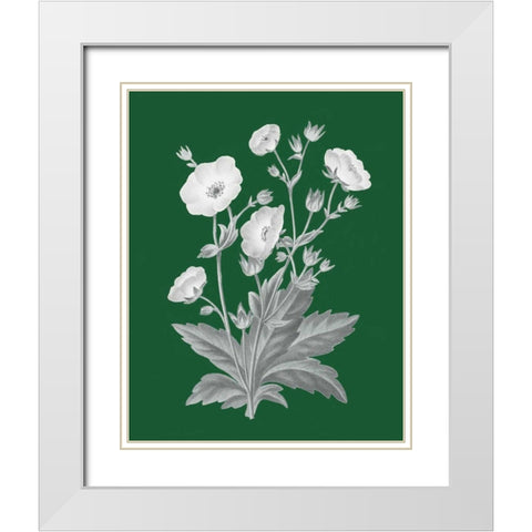 Green Botanical VI White Modern Wood Framed Art Print with Double Matting by Wild Apple Portfolio
