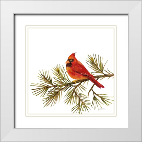 Cardinal Christmas V on White White Modern Wood Framed Art Print with Double Matting by Vassileva, Silvia