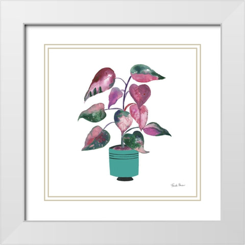 Potted Jewels II Aqua White Modern Wood Framed Art Print with Double Matting by Zaman, Farida