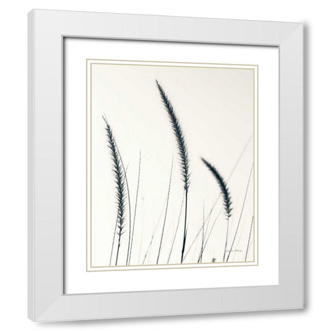 Field Grasses IV BW Crop White Modern Wood Framed Art Print with Double Matting by Van Swearingen, Debra