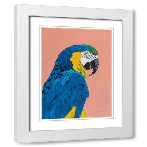 Blue and Gold Macaw White Modern Wood Framed Art Print with Double Matting by Munger, Pamela