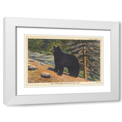 Black Bear I Crop White Modern Wood Framed Art Print with Double Matting by Wild Apple Portfolio