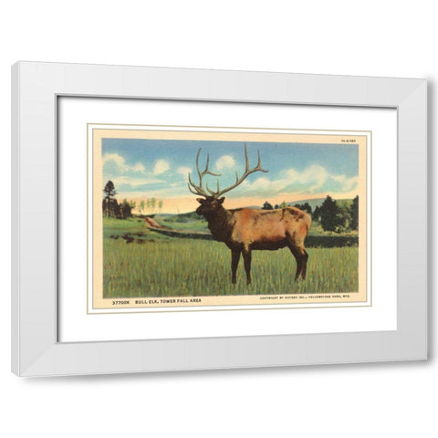 Elk I Crop White Modern Wood Framed Art Print with Double Matting by Wild Apple Portfolio